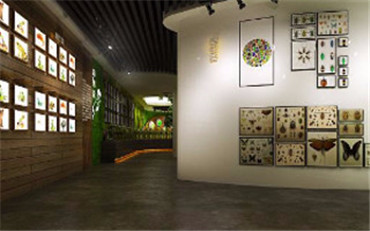 比導游更生動！這個小程序，讓全國微信用戶陪你看展覽