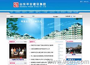 濟(jì)南網(wǎng)站建設(shè)案例
