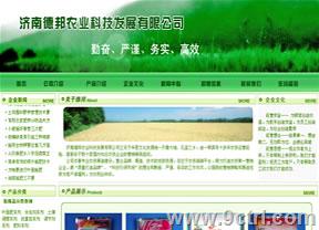 濟南網(wǎng)站建設(shè)作品